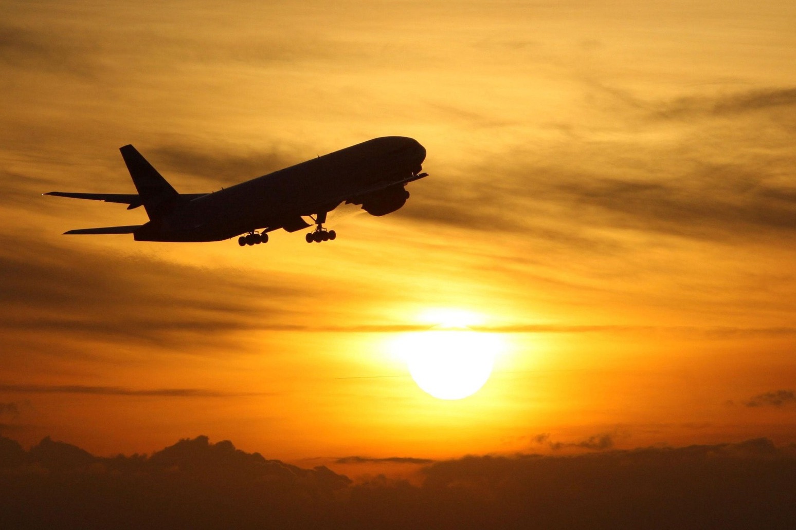 Pledge to cut aviation carbon emissions to net zero by 2050 